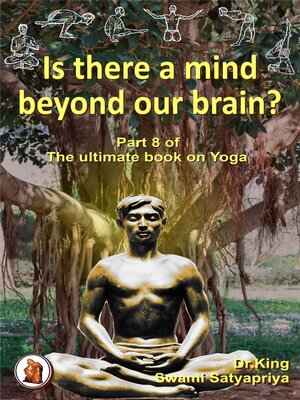 cover image of Is There a Mind beyond Our Brain?